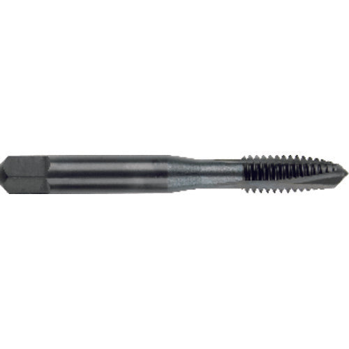 Morse Cutting Tools MT7934735 1-1/4-12 H44Fl HSS Spiral Pointed Plug ONYX Tap-Steam Oxide Series/List #2101 on Sale